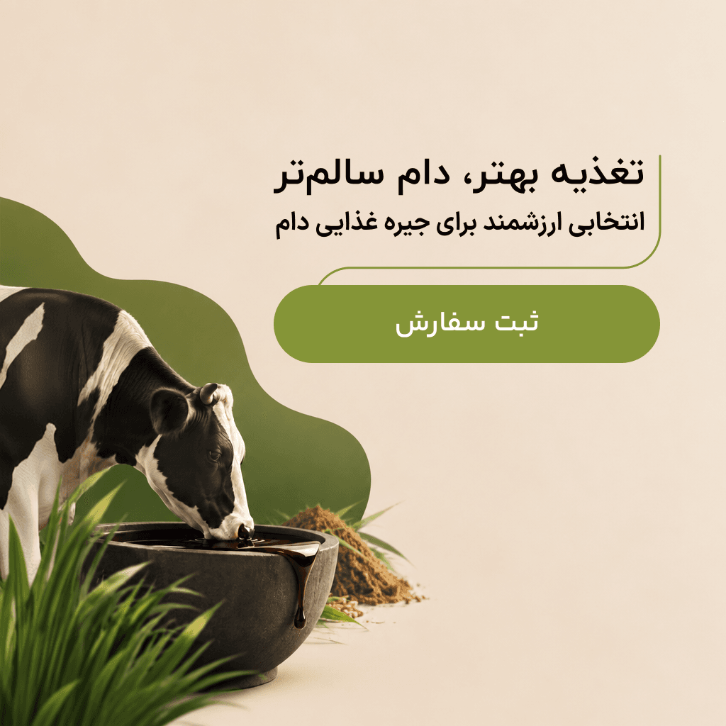 بنر وبسایت مربعی